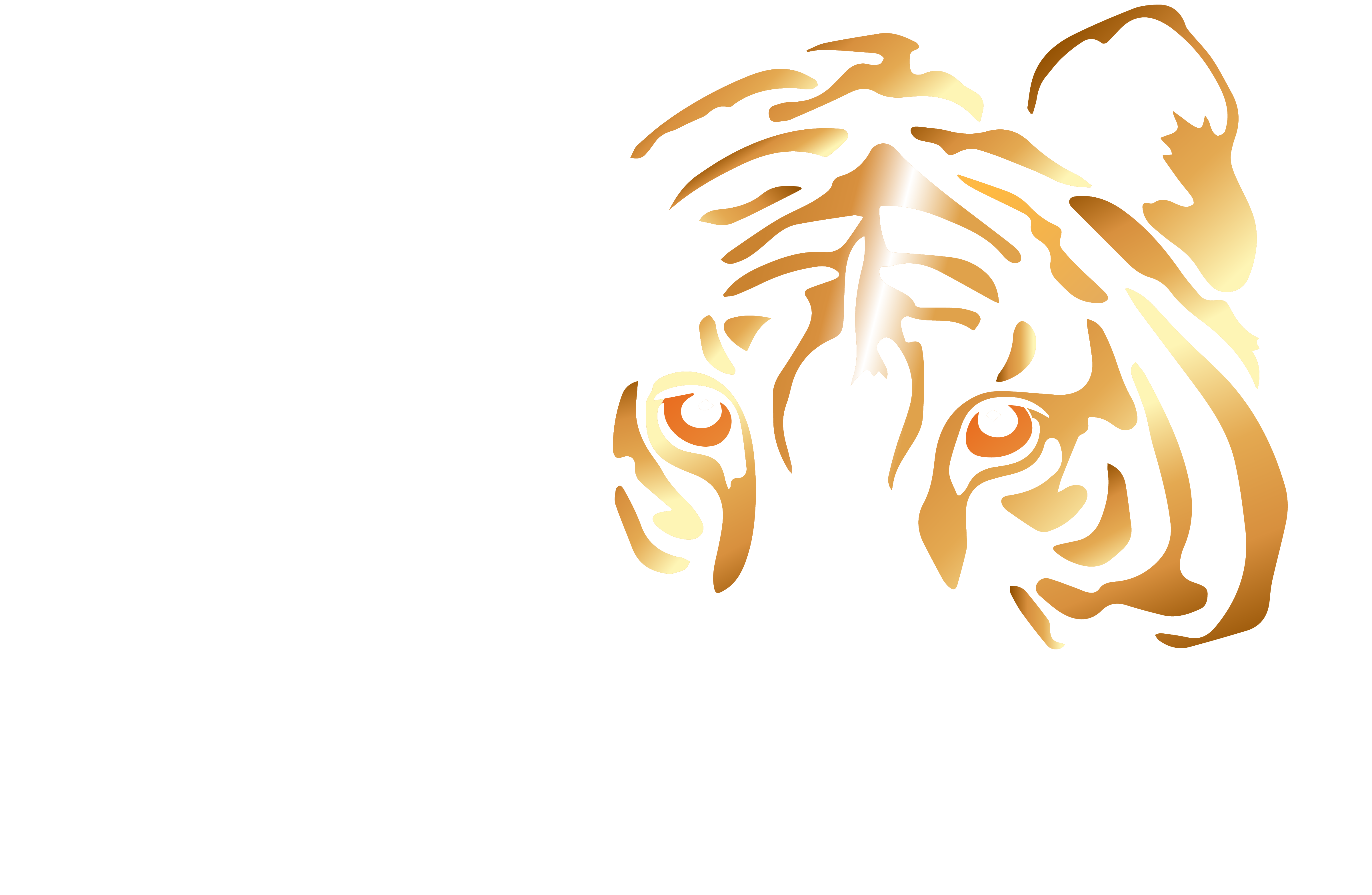 tigredecristal